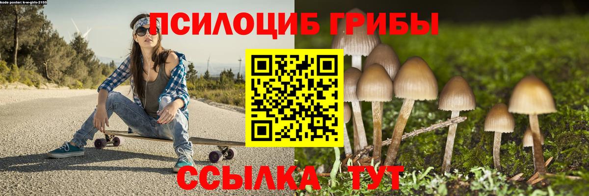 Псилоцибиновые грибы прущие грибы Дубна