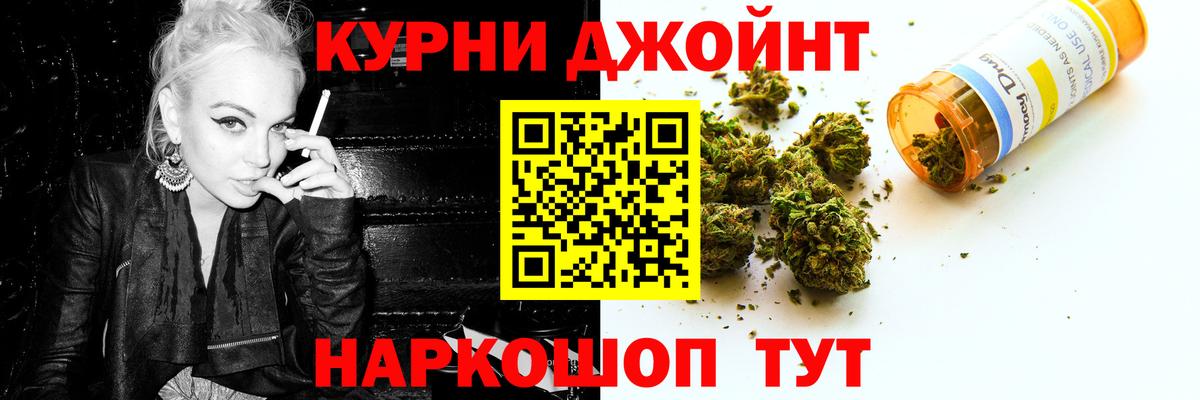 Канабис OG Kush Дубна